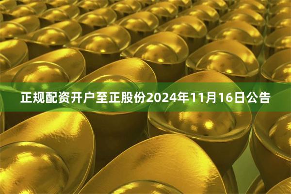 正规配资开户至正股份2024年11月16日公告